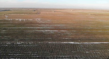 Konya Ovası'nda karsız sezon endişesi