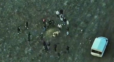 Köpek dövüştüren şahıslara jandarmadan dronlu baskın