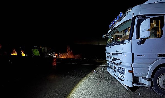 Köpekler nedeniyle otoyolda can pazarı