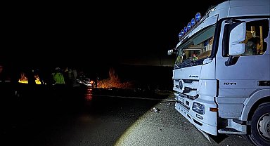 Köpekler nedeniyle otoyolda can pazarı