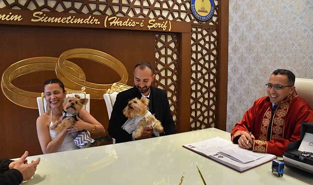 Köpekleriyle birlikte mutluluğa "evet" dediler