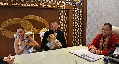 Köpekleriyle birlikte mutluluğa "evet" dediler