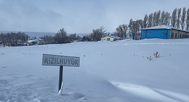 Köyün kâbusu olan kurtlar için araziye yiyecek bırakıldı