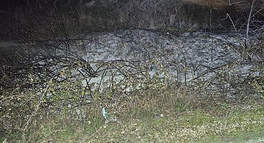 Küçük çaplı ot yangını erken müdahaleyle söndürüldü