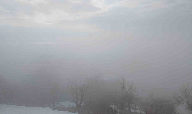 Kulp ilçesinde yoğun sis etkili oldu