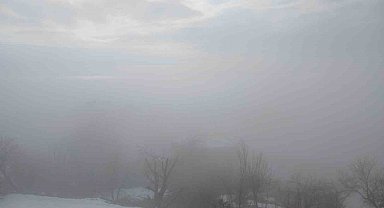 Kulp ilçesinde yoğun sis etkili oldu