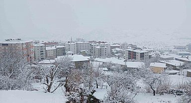 Kulp'ta kar esareti: Köy yolları kapandı, ilçe trafiği kilitlendi