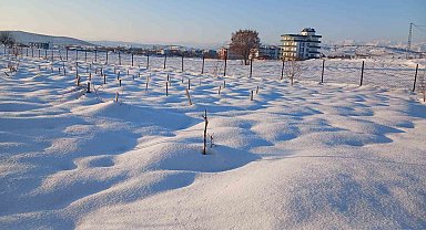 Kulp'ta kar yağışı çiftçiye umut oldu