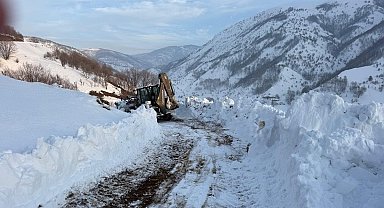 Kulp'ta kış yüzünü sert gösterdi