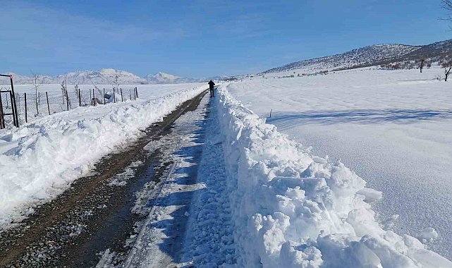 Kulp'ta taşımalı eğitime kar tatili, ilçe merkezinde okullar açık