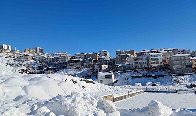 Kulp'ta taşımalı okullar tatil