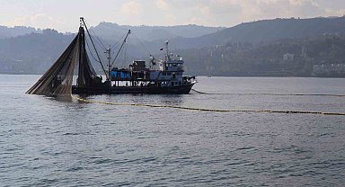 Kuşadası'nda dil ve pisi balığı avcılığına geçici yasak