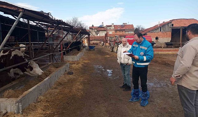 Kütahya'da hayvancılık işletmelerine yönelik kapasite tespiti sürüyor