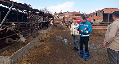 Kütahya'da hayvancılık işletmelerine yönelik kapasite tespiti sürüyor