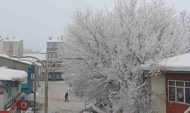 Malazgirt'te dondurucu soğuklar görsel şölene dönüştü