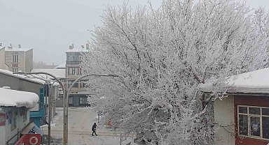 Malazgirt'te dondurucu soğuklar görsel şölene dönüştü