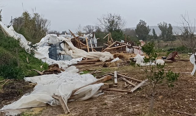 Manavgat'ta hortum 300 dönümlük alanda seraları yerle bir etti