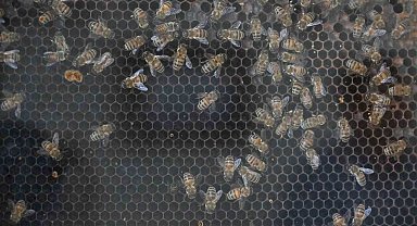 Manisa'da kırsal kalkınmaya 144 milyon TL'lik dev yatırım