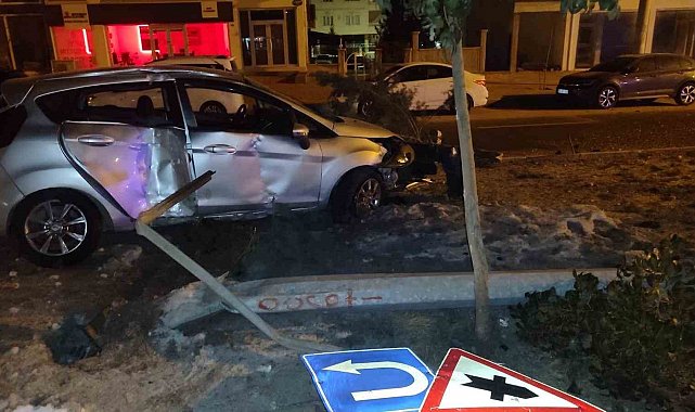 Mardin'de refüje çarpan otomobilin sürücüsü yaralandı