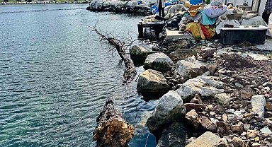 Marmara Denizi'nde feribot trafiği için tehlike oluşturan yüzen ağaç kıyıya çekildi