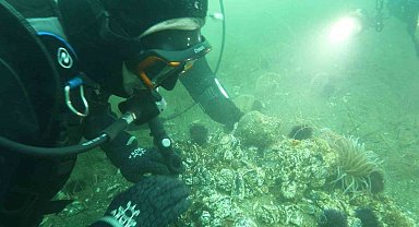 Marmara Denizi'ne kıyı kentlerin Belediye Başkanlarına dalış çağrı