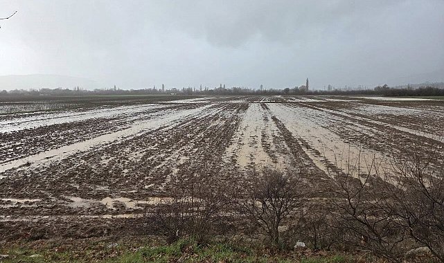 Menteşe'de tarım arazileri için ekipler sahaya indi