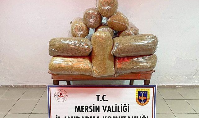 Mersin'de 100 kilo kaçak tütün ele geçirildi, 1 kişi gözaltına alındı