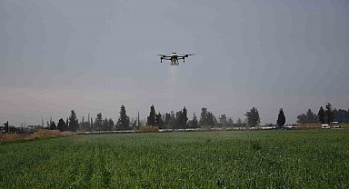 Mersin'de dronla gübreleme ve ilaçlama çiftçinin zayiatını sıfıra indirdi, zamandan tasarruf sağladı