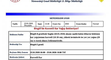 Meteorolojiden Bingöl için kuvvetli kar yağışı uyarısı