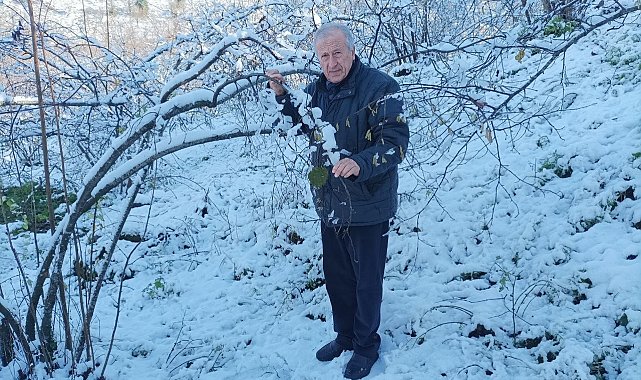 Mevsiminde yağan kar fındık üreticisini sevindirdi