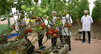Modern sera yatırımları Salihli'de tarımı güçlendiriyor