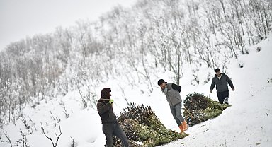 Muş'ta besicilerin kızaklı zorlu kış mesaisi