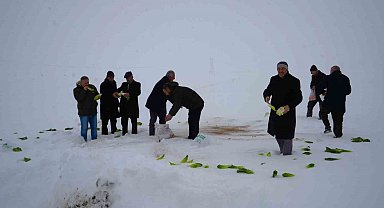 Muş'ta yaban hayvanları için doğaya yem bırakıldı
