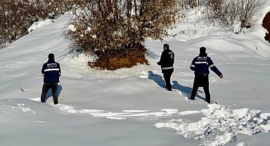 Mutki Belediyesi zorlu kış şartlarında yaban hayatını unutmadı