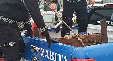 Nilüfer'de kaldırımlar işgallerden arındırılıyor