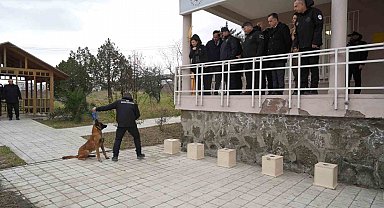 OMÜ'de yetiştirilen görev köpeği 'Pars', Samsun Emniyeti'ne teslim edildi