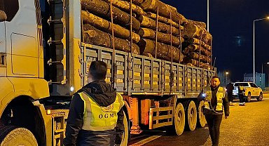 Orman denetimleri sürdürülüyor