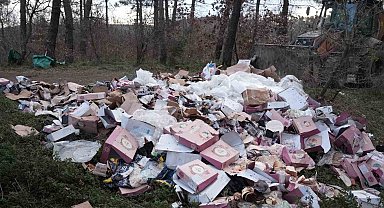 Ormanı çöplüğü çevirmişler