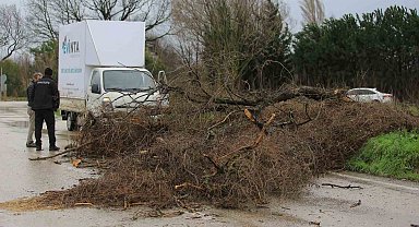 Osmangazi Belediyesi'nden lodosa karşı etkin müdahale