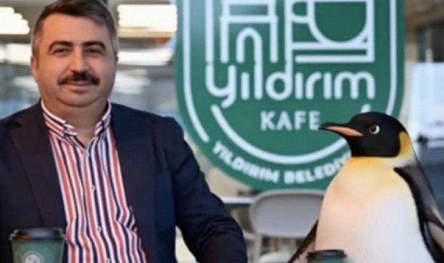 Penguen sürüden ayrılırken belediyeler boş durmadı