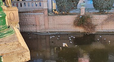 Porsuk'un donduğunun resmidir