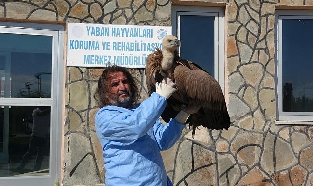 Prof. Dr. Lokman Aslan'dan kritik uyarı: "Yaban hayatına müdahale merhamet değil tehlikedir"