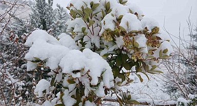 Pütürge'de kartpostallık görüntüler