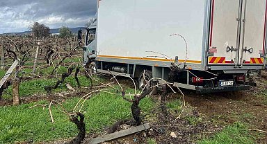 Sabıkalı yolda kamyon üzüm bağına girdi