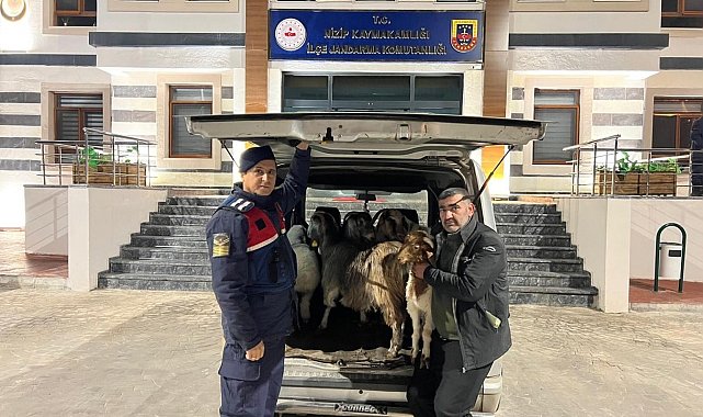 Sahte para ile hayvan alarak besiciyi dolandıran şahıslar yakalandı