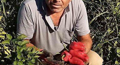 Şanlıurfa'da asansör faciası: Boşluğa düşen servis şoförü hayatını kaybetti