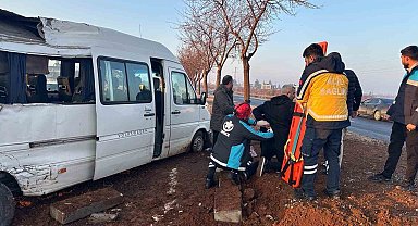 Şanlıurfa'da işçi servisi ağaca çarptı: 7 yaralı
