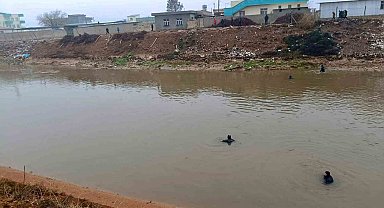 Şanlıurfa'da sulama kanalına düşen otomobilin sürücüsünü arama çalışmaları sürüyor