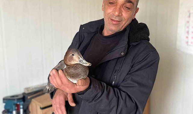 Şantiyede yaralı halde bulduğu ördeğe çocuğu gibi baktı