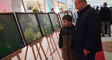 Sapanca Gölü fotoğrafları Gazze için umuda dönüştü: Geliri yetim ve öksüz çocuklara bağışlanacak